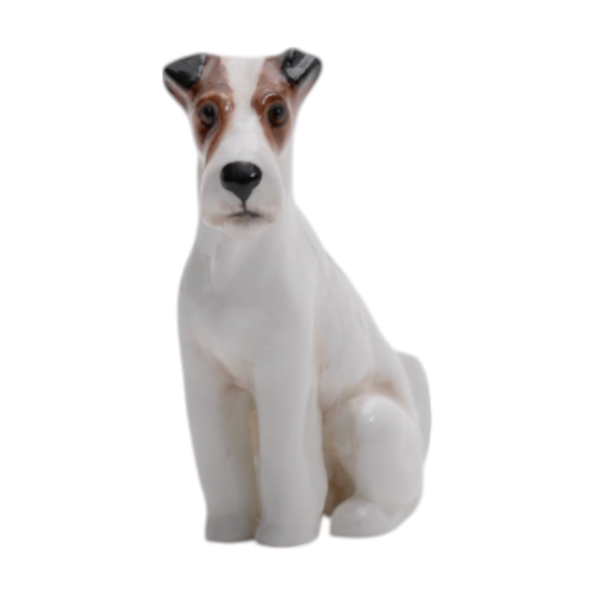 Fox Terrier Seated