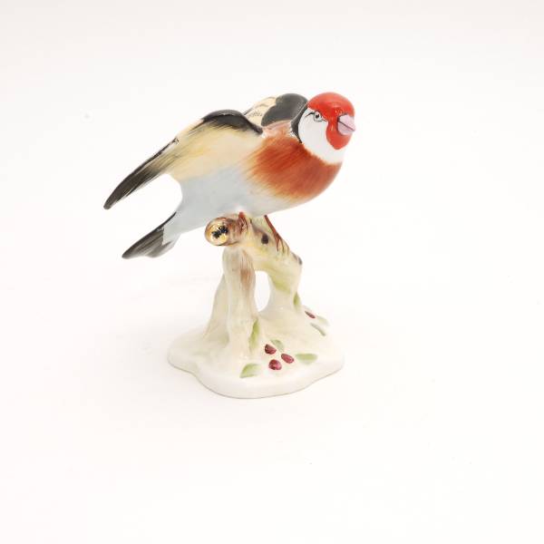 Royal Adderley Goldfinch