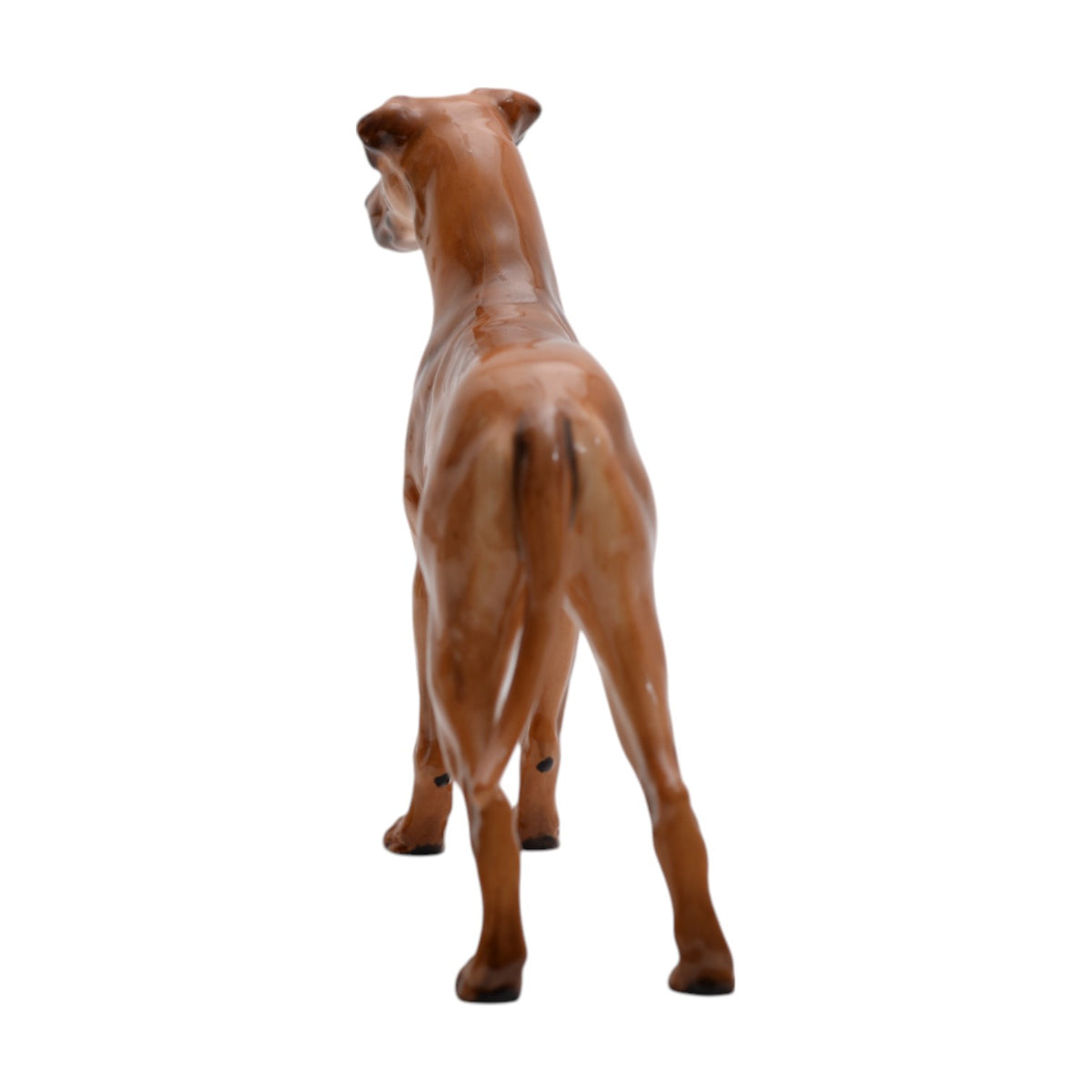 Great Dane Champion 'Rebeller of Ouborough' HN2561