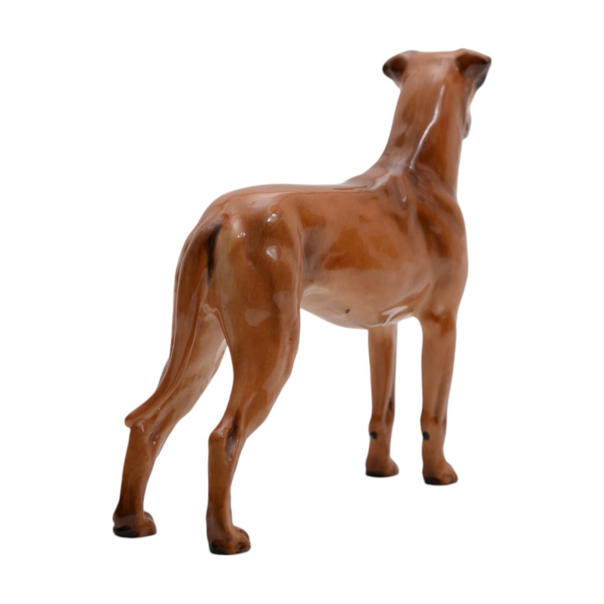 Great Dane Champion 'Rebeller of Ouborough' HN2561