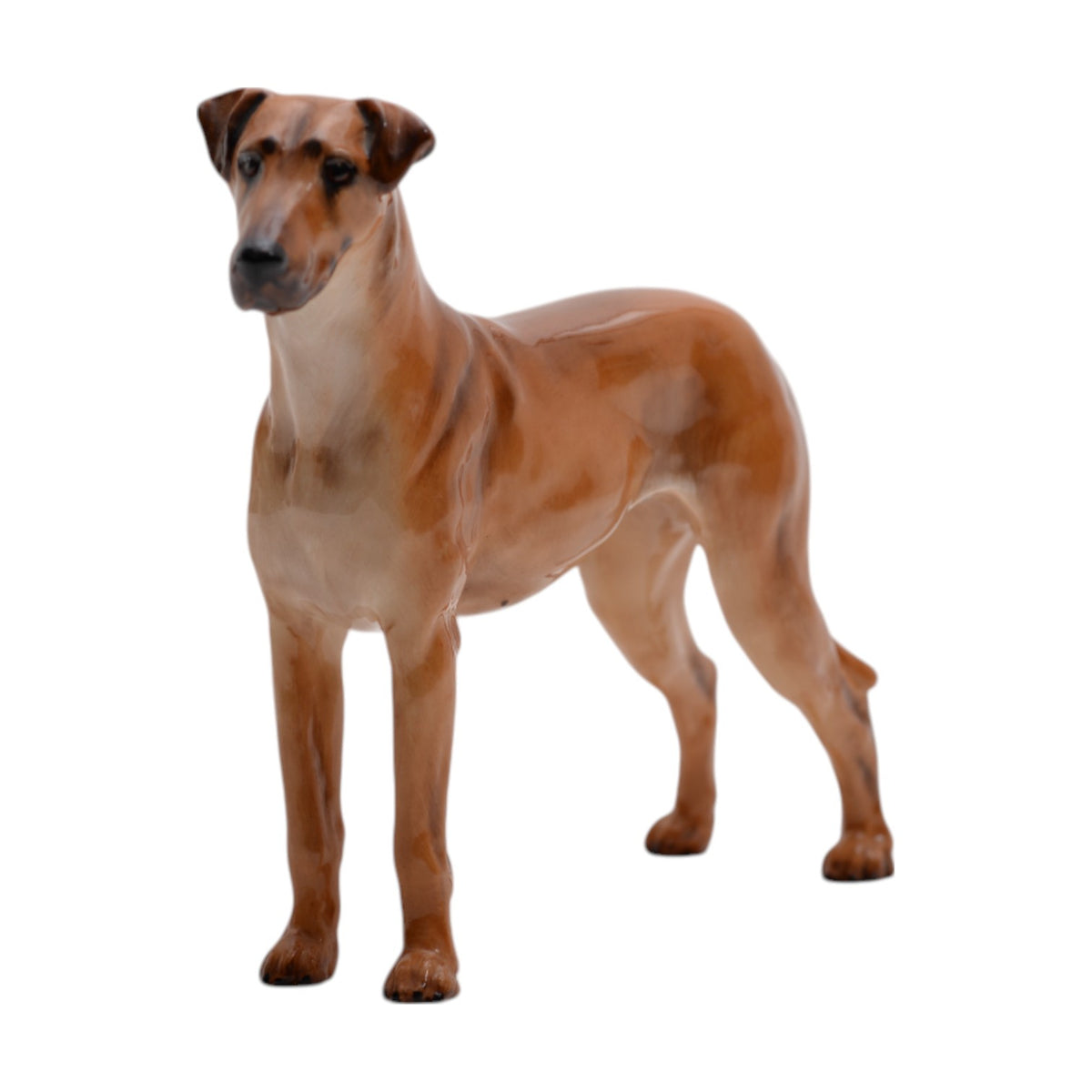 Great Dane Champion 'Rebeller of Ouborough' HN2561