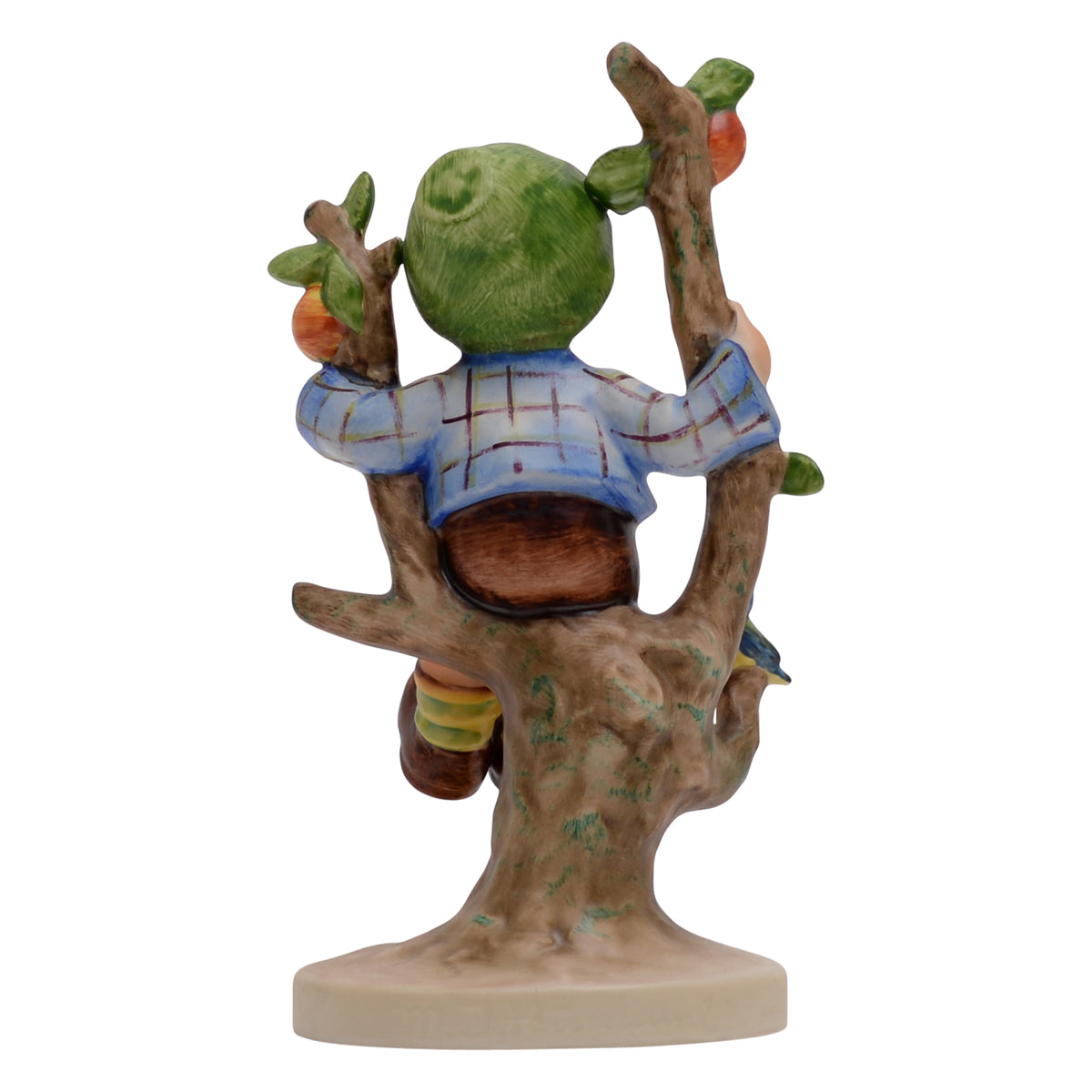 Apple tree boy