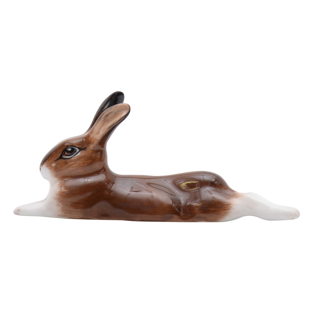 Hare Lying