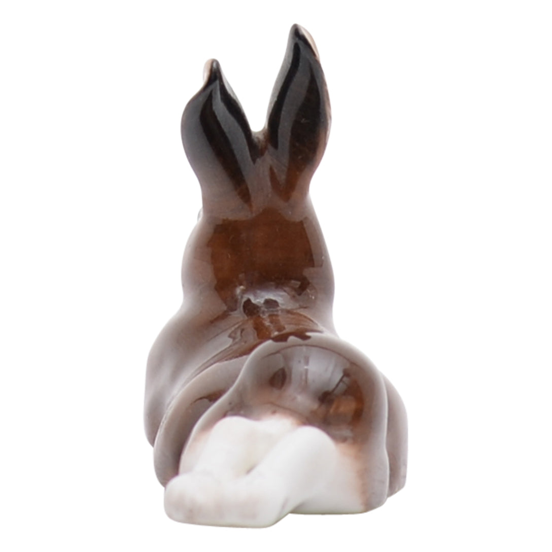 Hare Lying