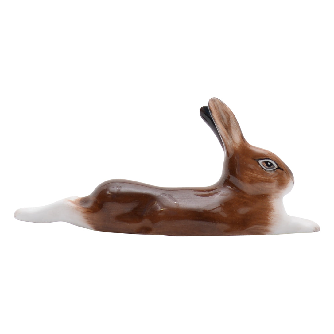 Hare Lying