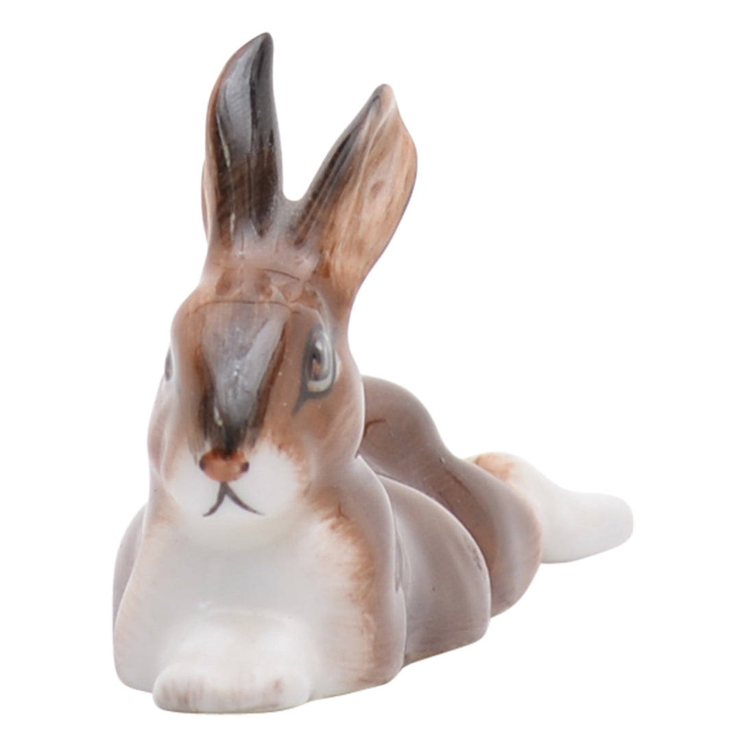 Hare Lying