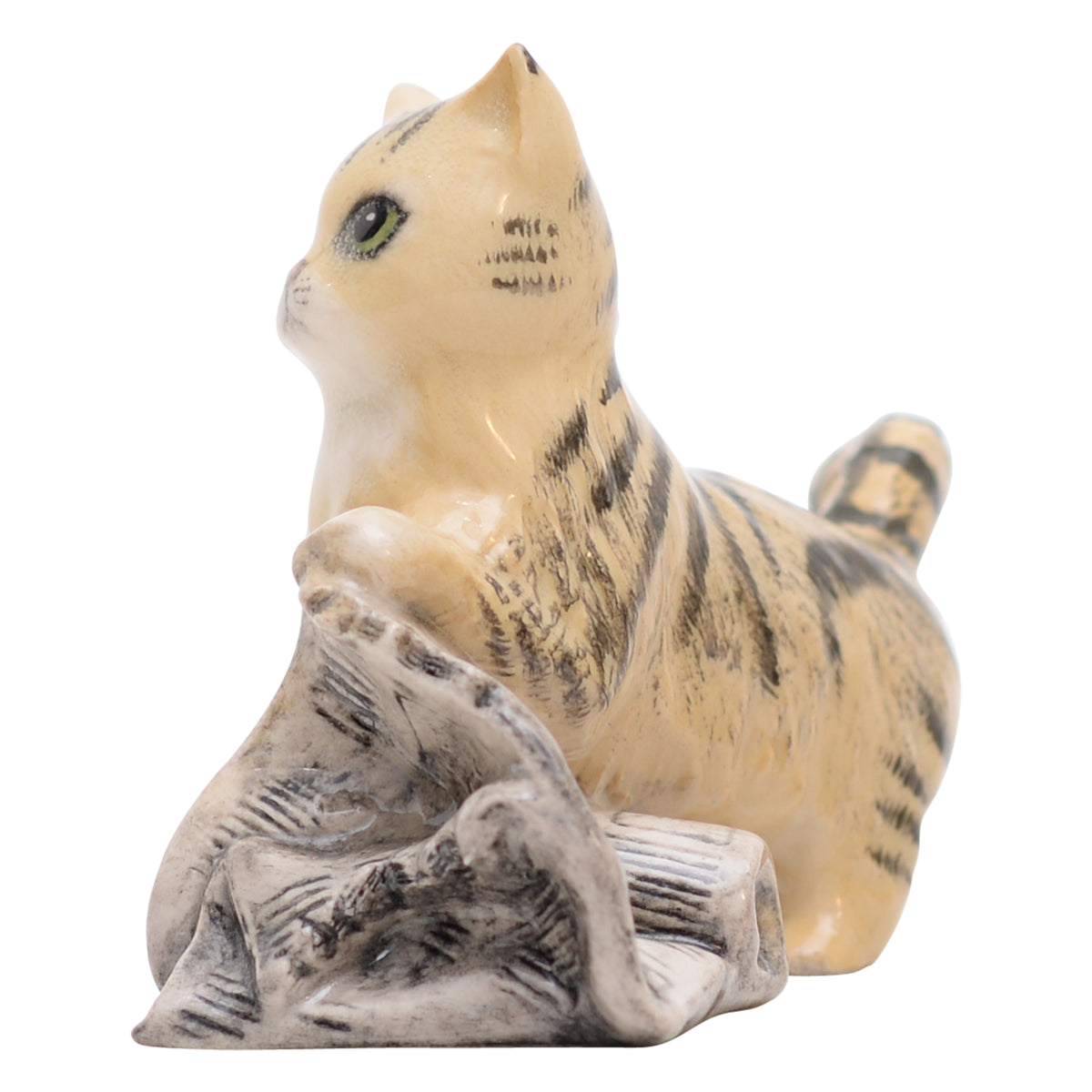 In the News Cat