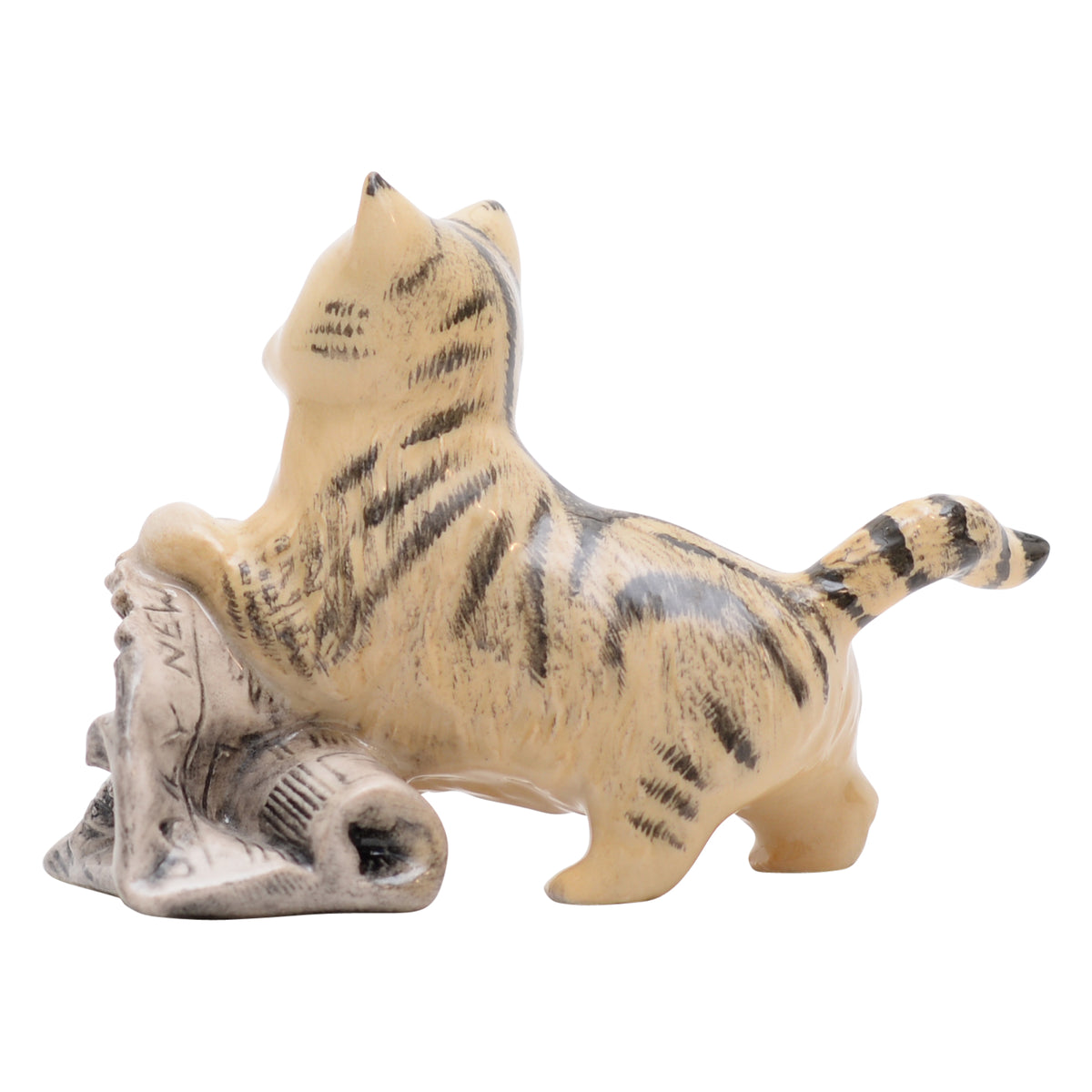 In the News Cat