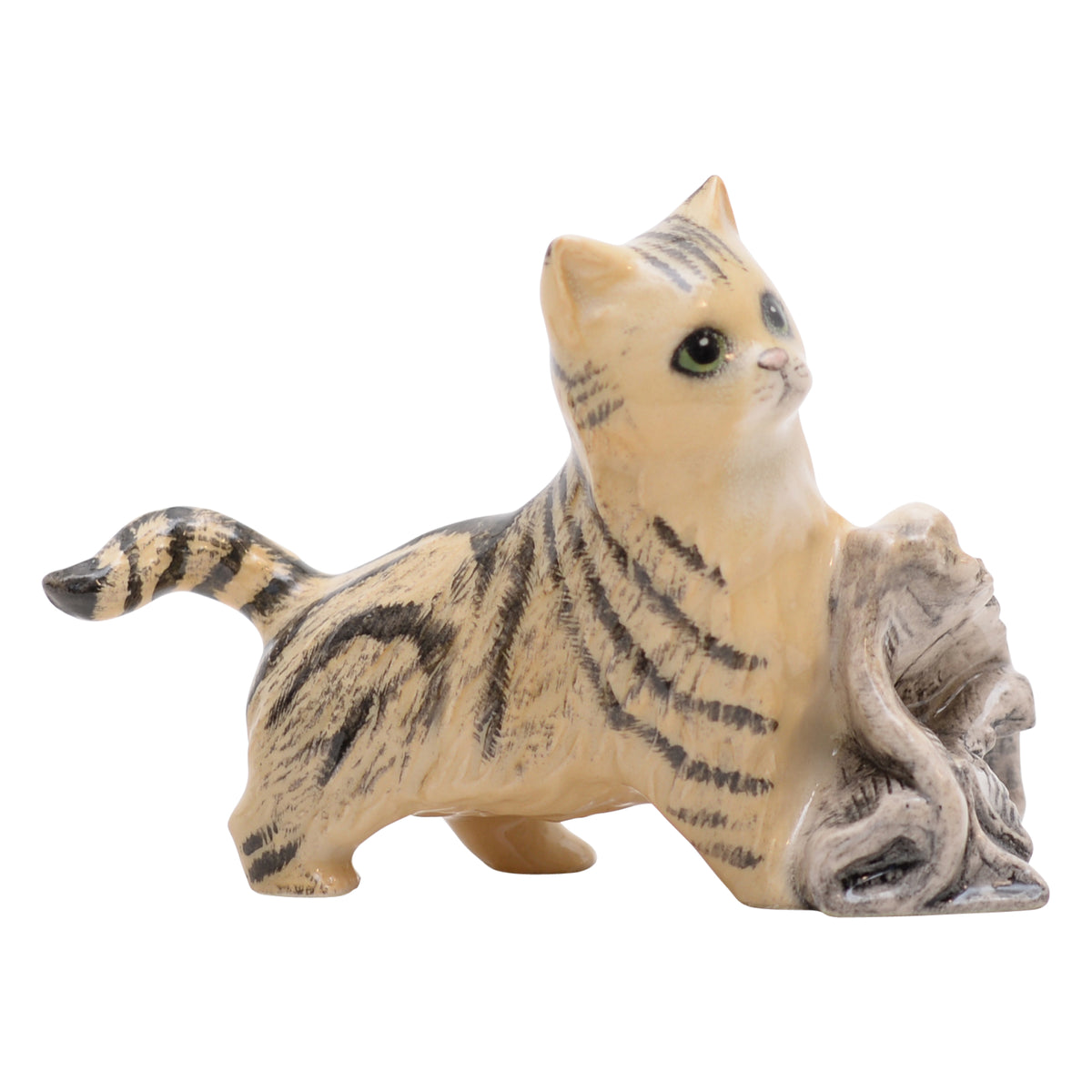 In the News Cat