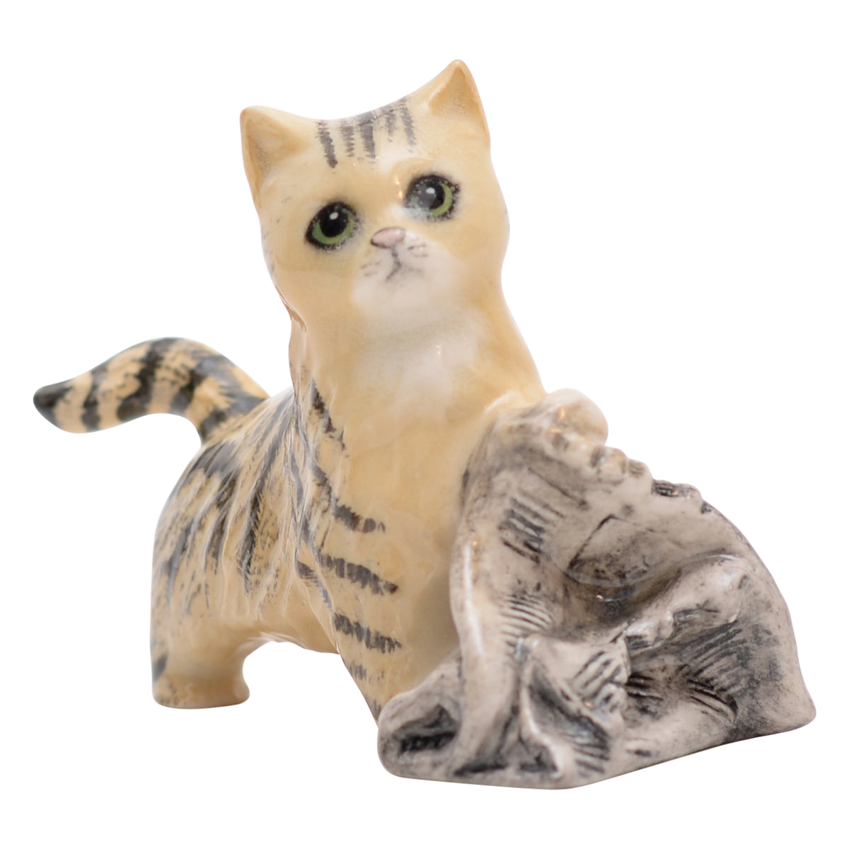 In the News Cat
