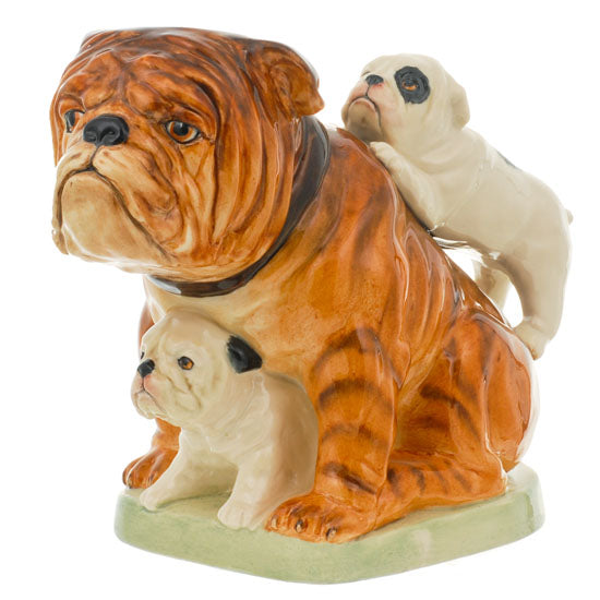 British Bulldog Brown