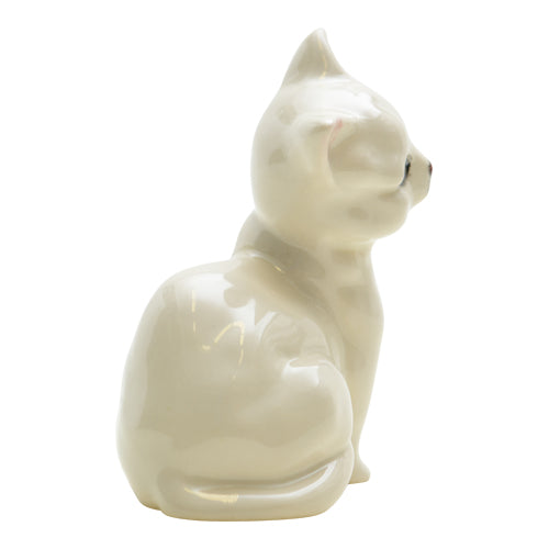 Kitten-DA123