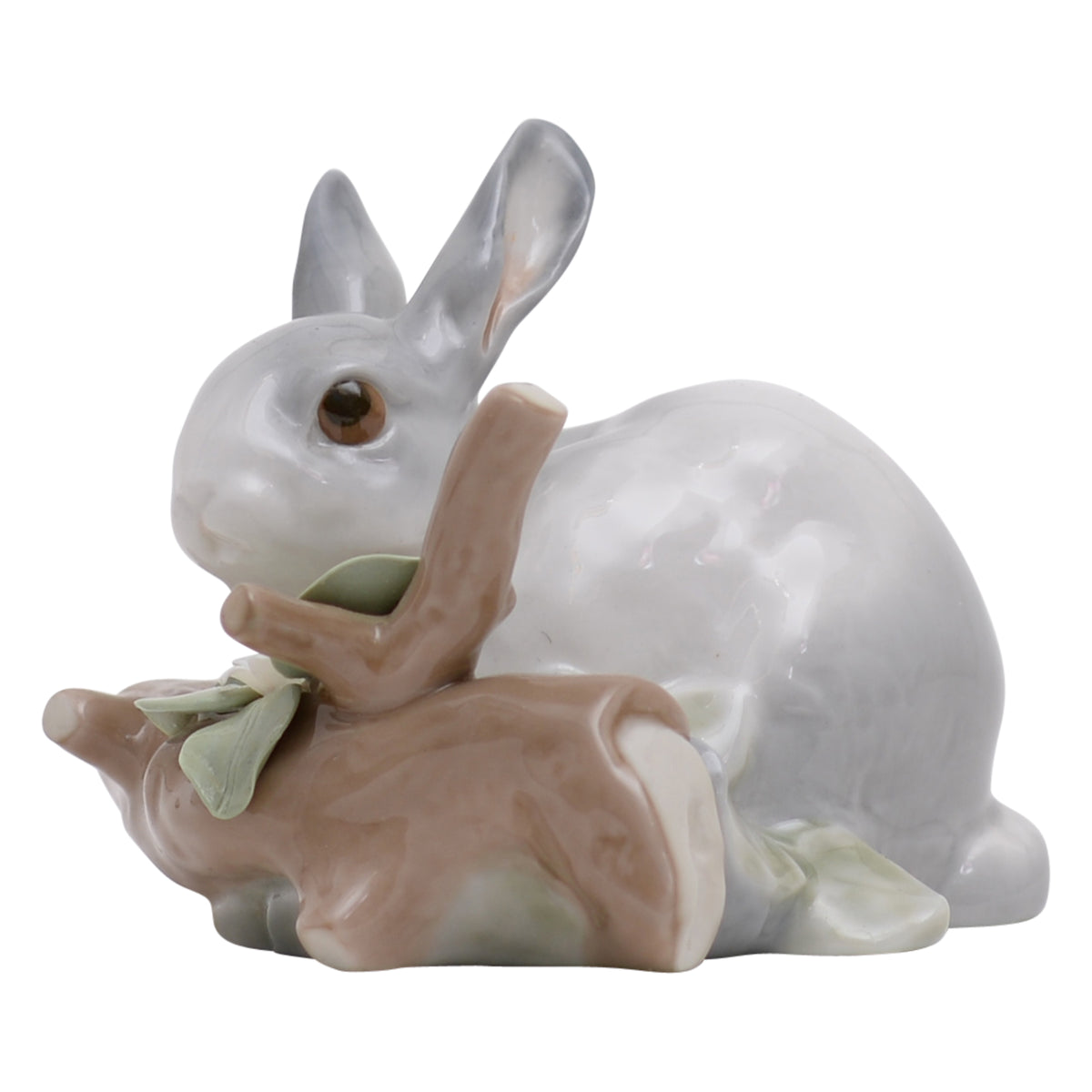 Rabbit Eating