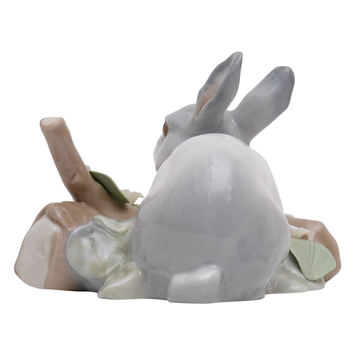 Rabbit Eating
