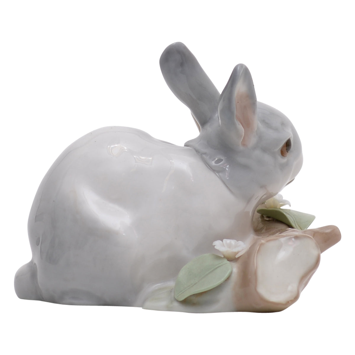Rabbit Eating