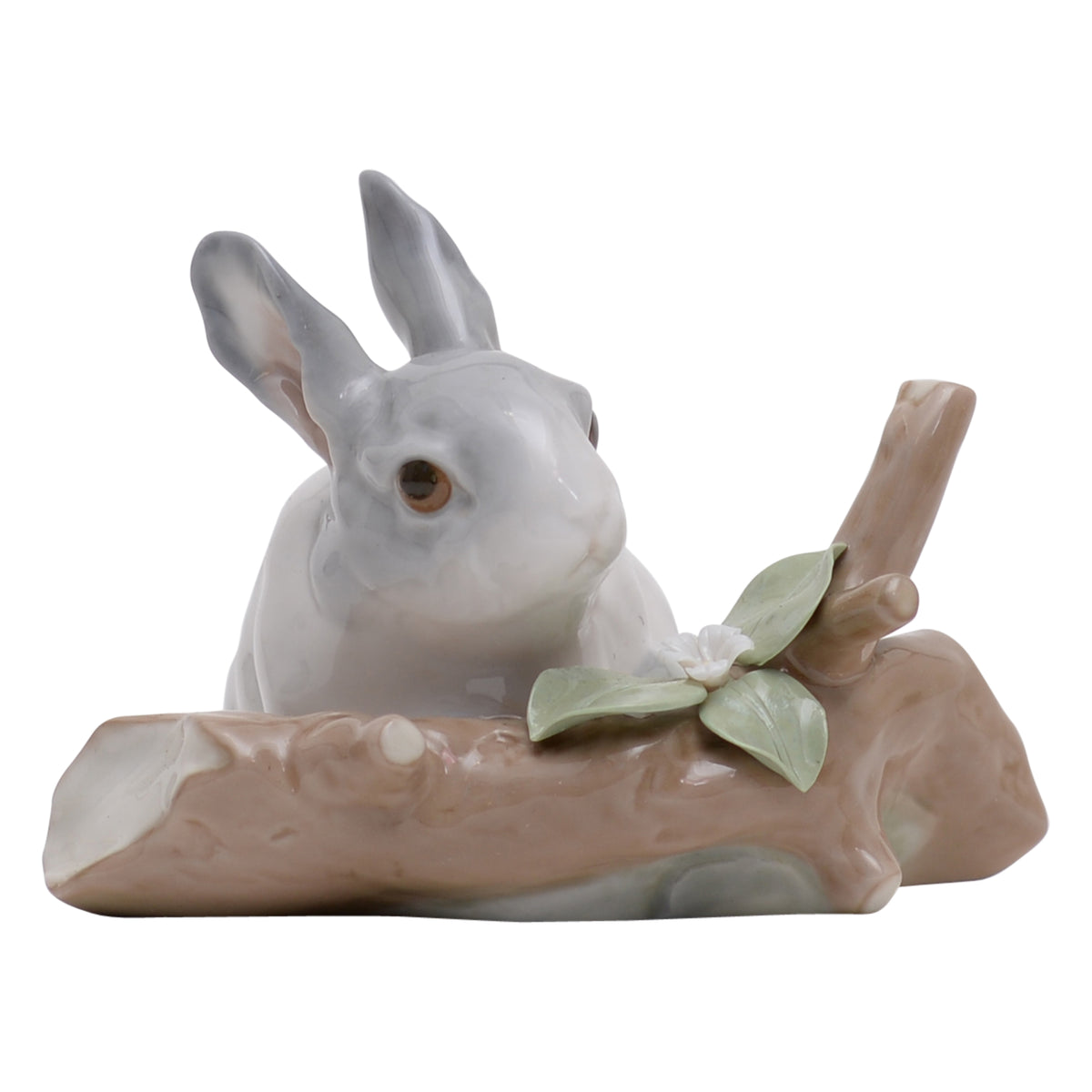Rabbit Eating
