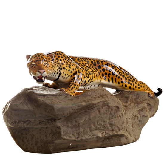 Leopard on Rock