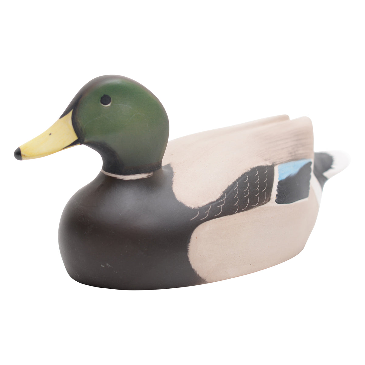 Mallard male