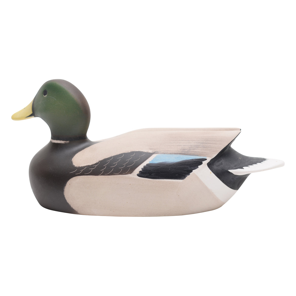 Mallard male