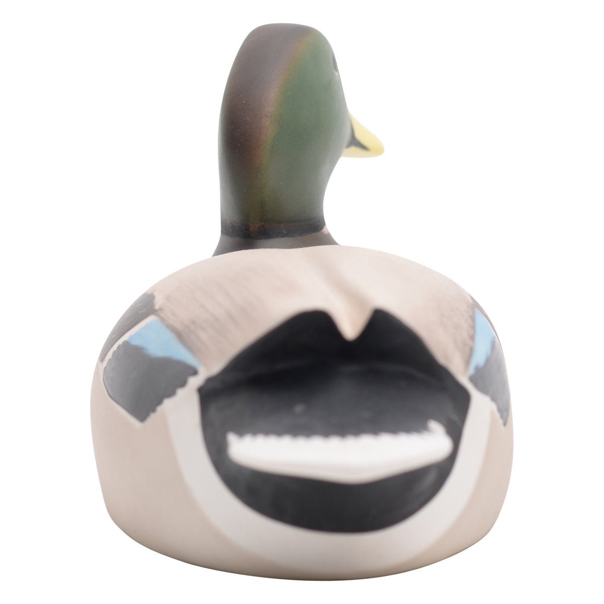 Mallard male