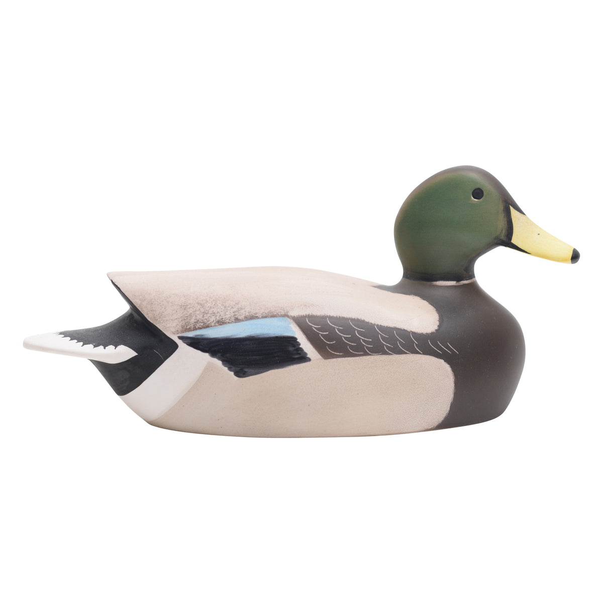 Mallard male