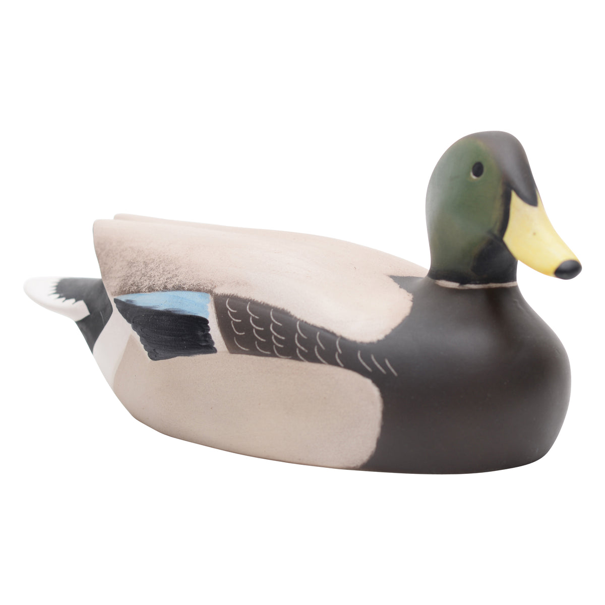 Mallard male