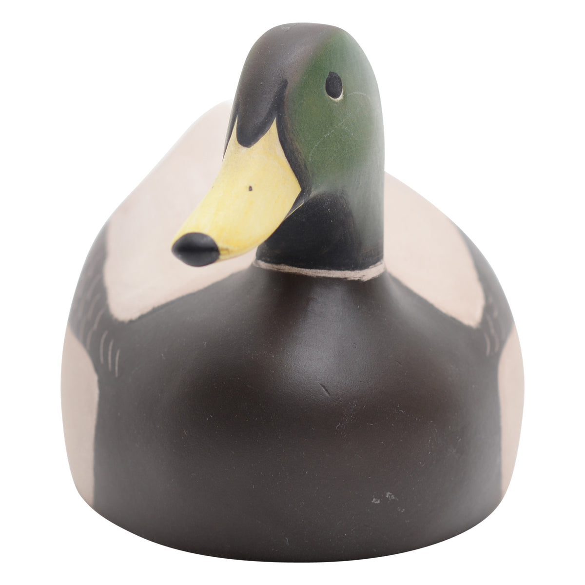 Mallard male