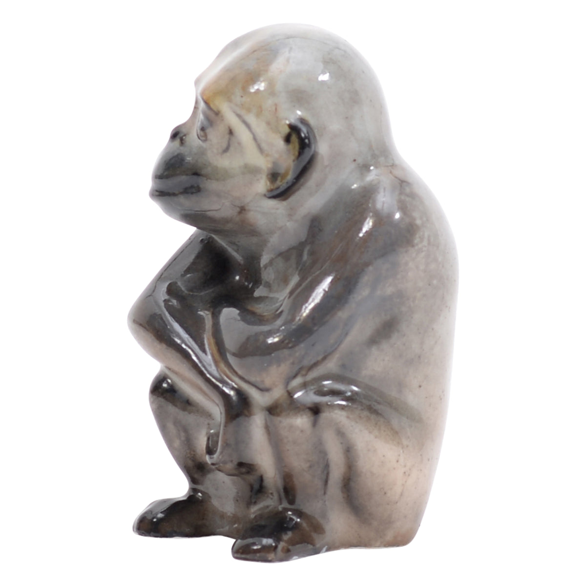 Monkey seatting