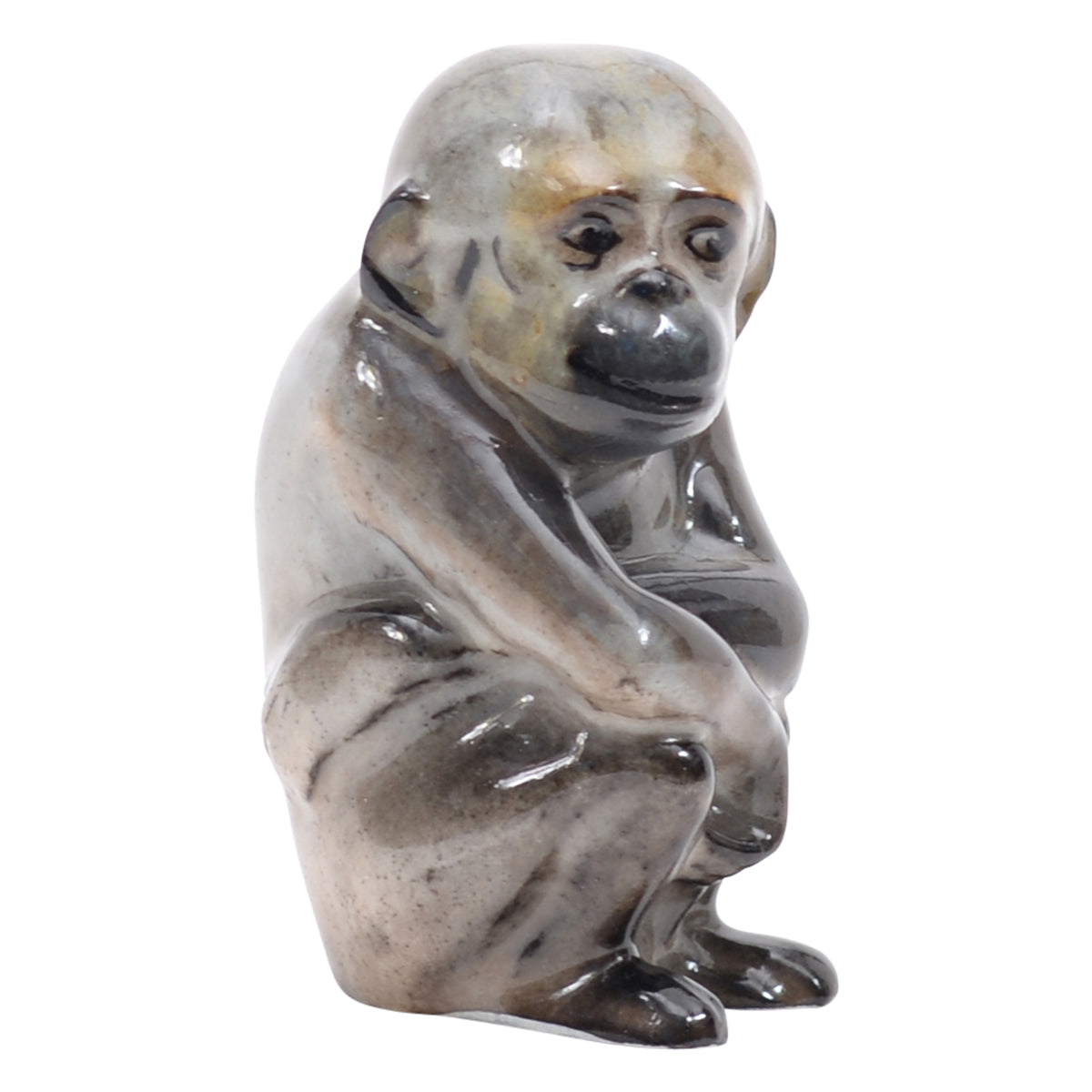 Monkey seatting