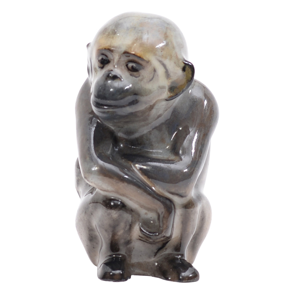 Monkey seatting