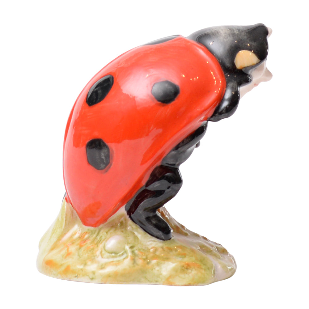 Mother Ladybird