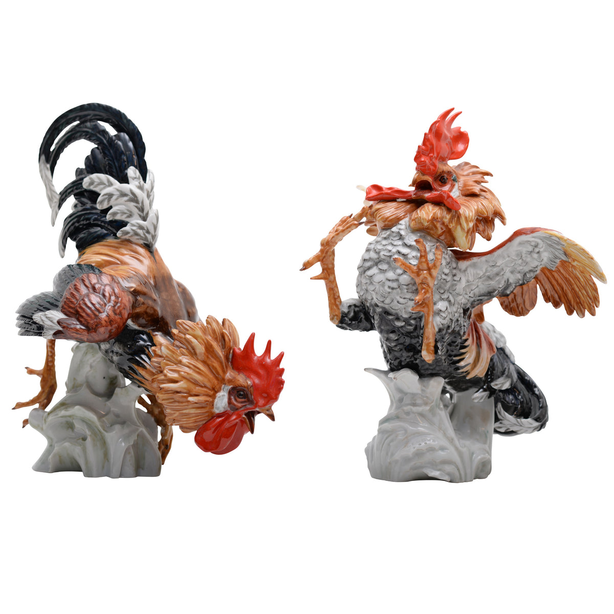 Pair of cock rooster fighting