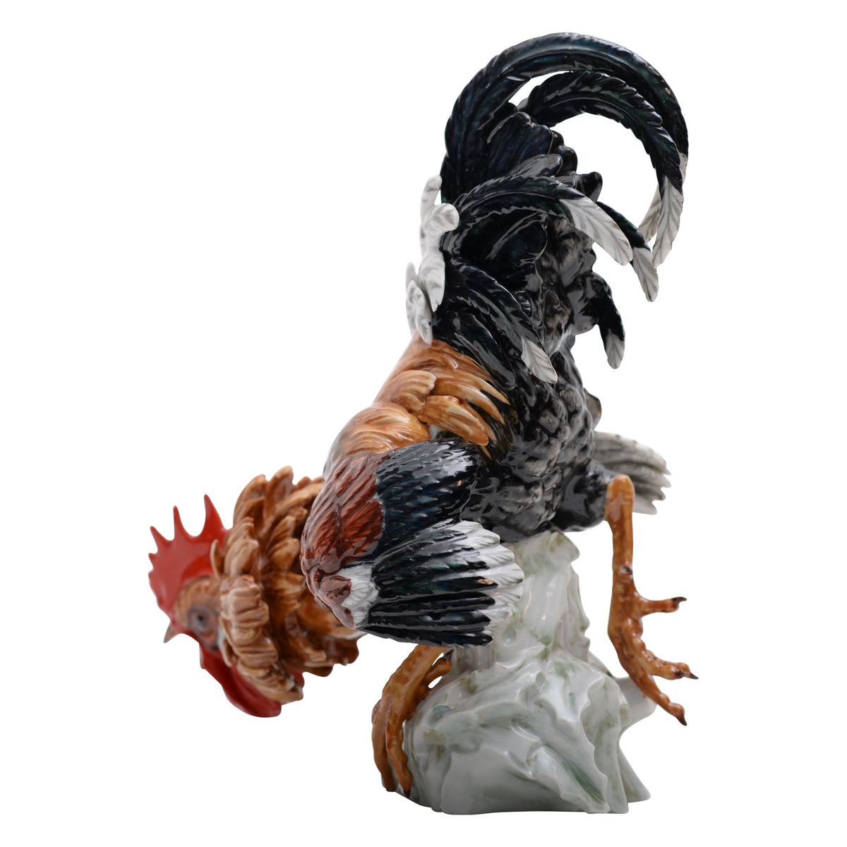 Pair of cock rooster fighting