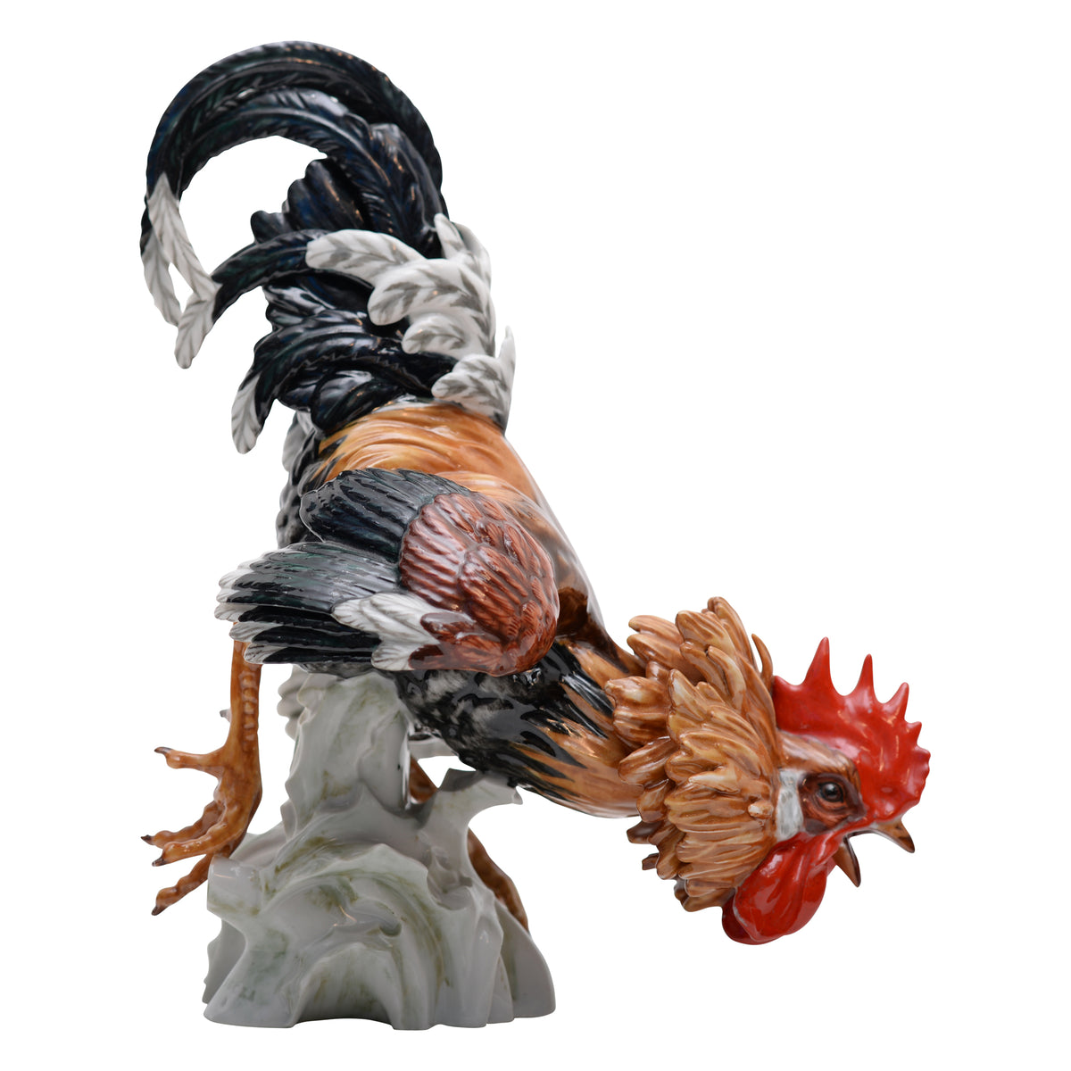Pair of cock rooster fighting