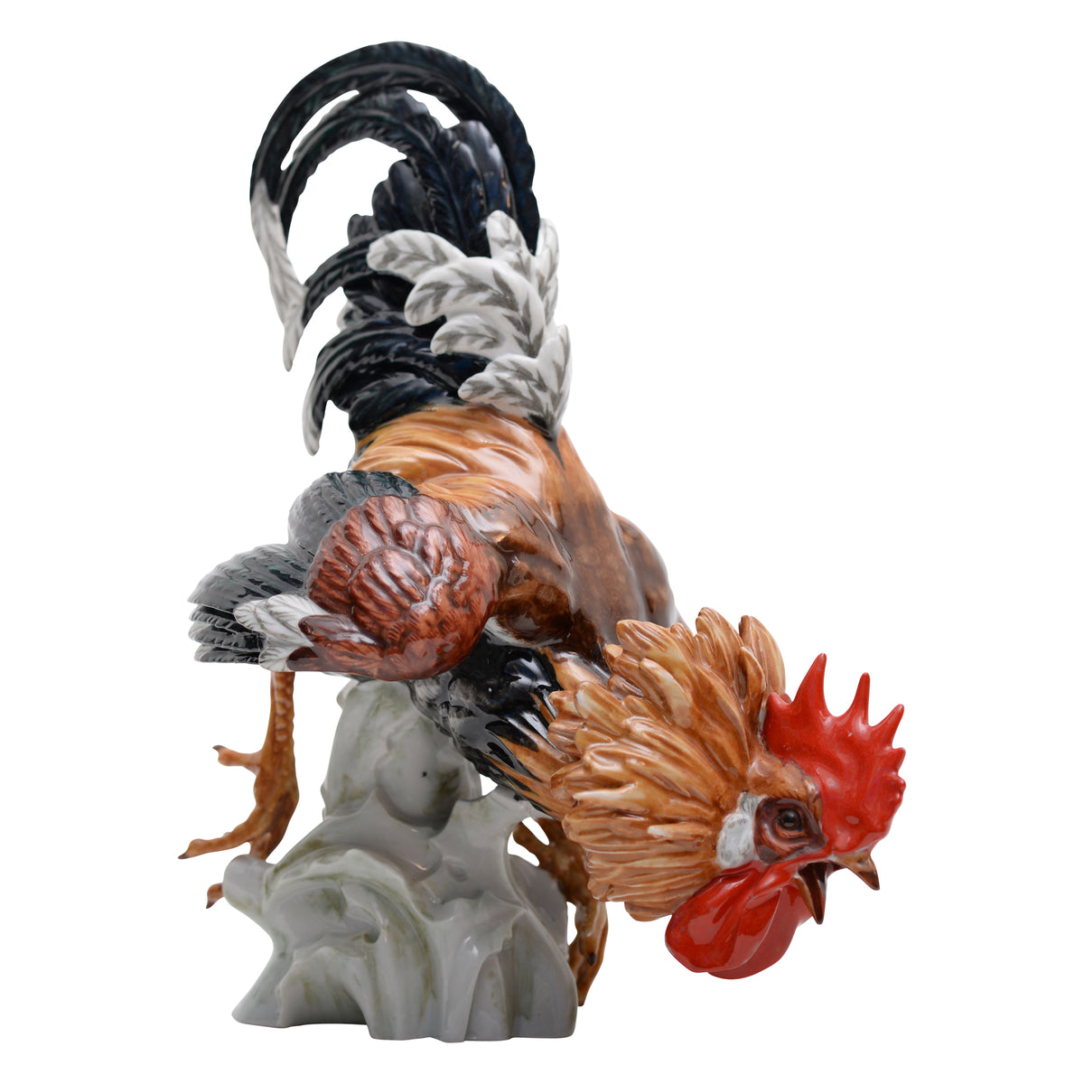 Pair of cock rooster fighting