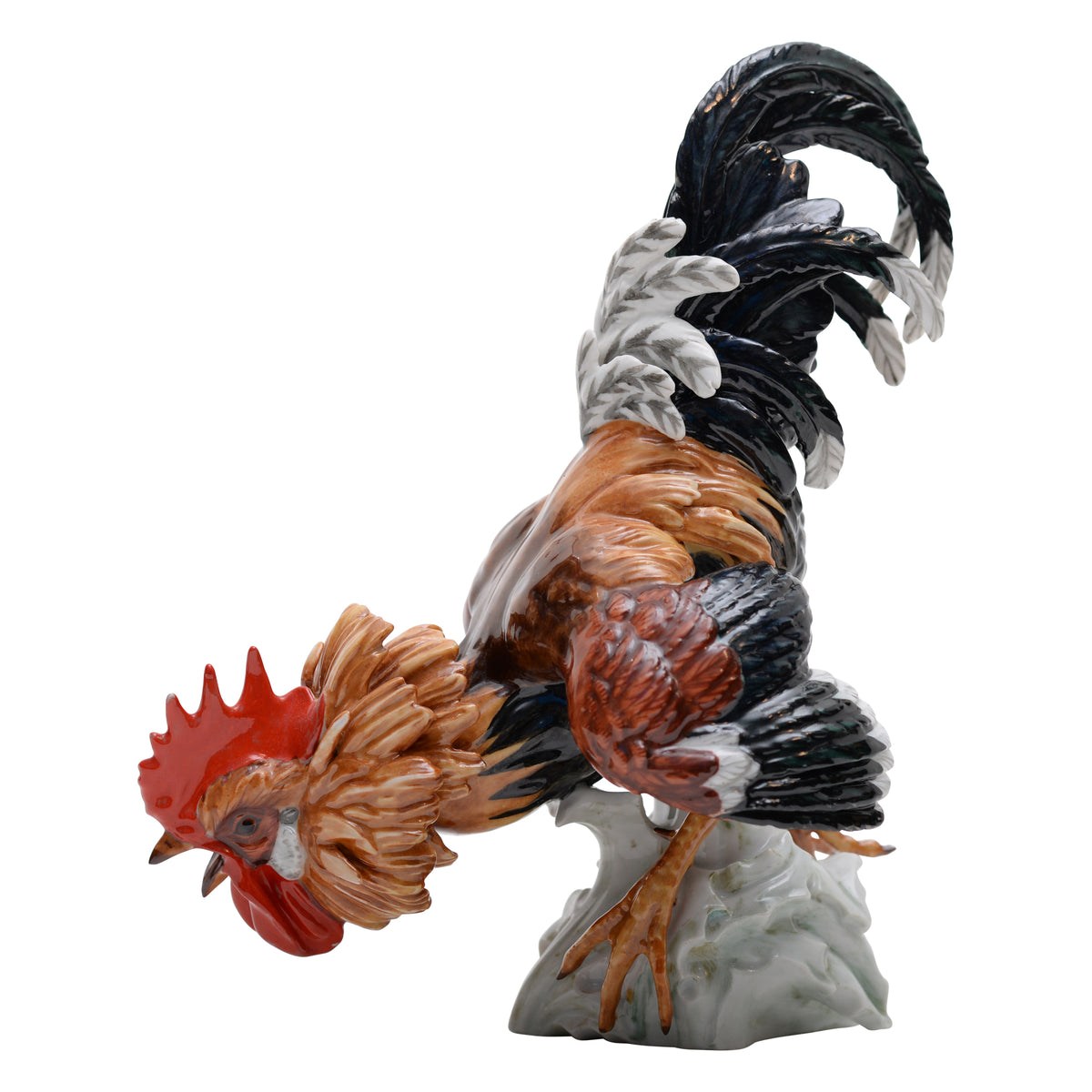 Pair of cock rooster fighting
