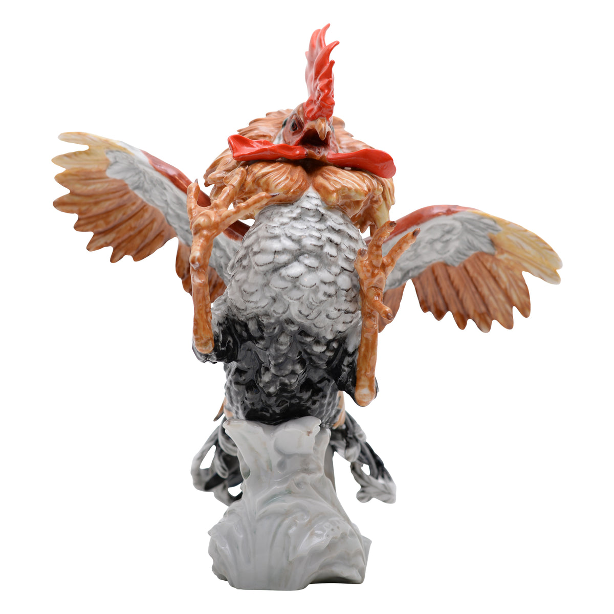 Pair of cock rooster fighting