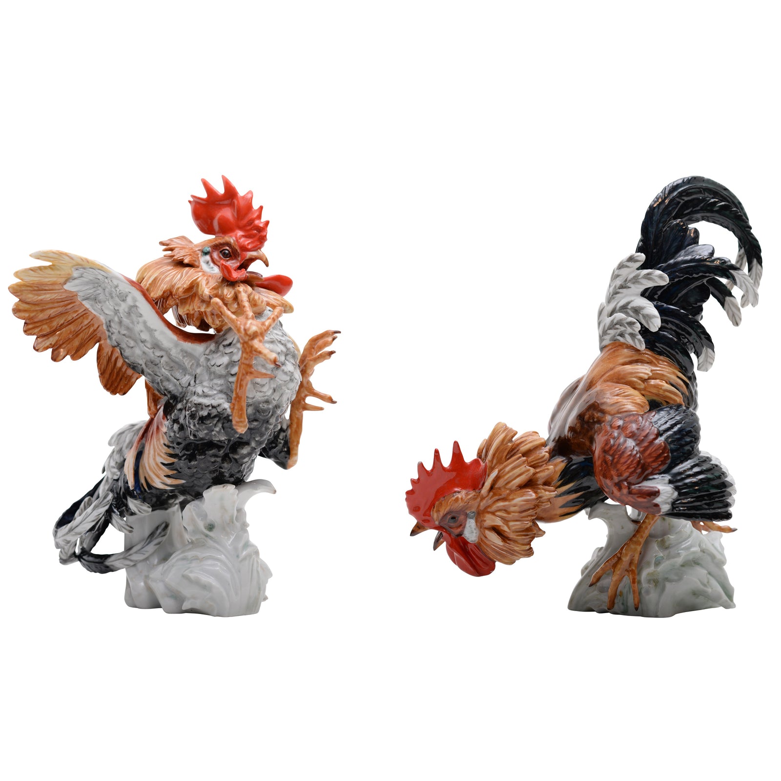 Pair of cock rooster fighting