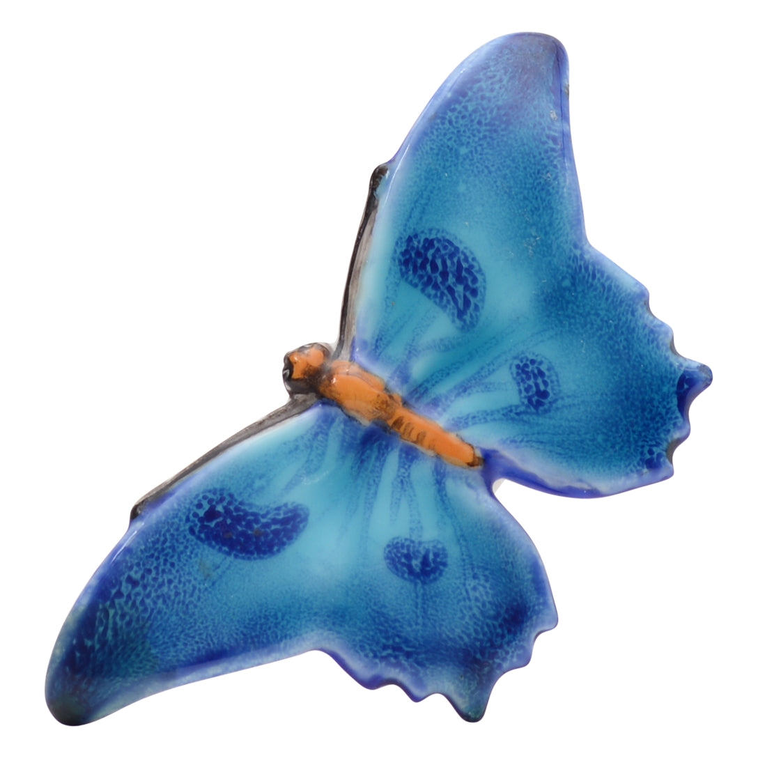 Blue butterfly