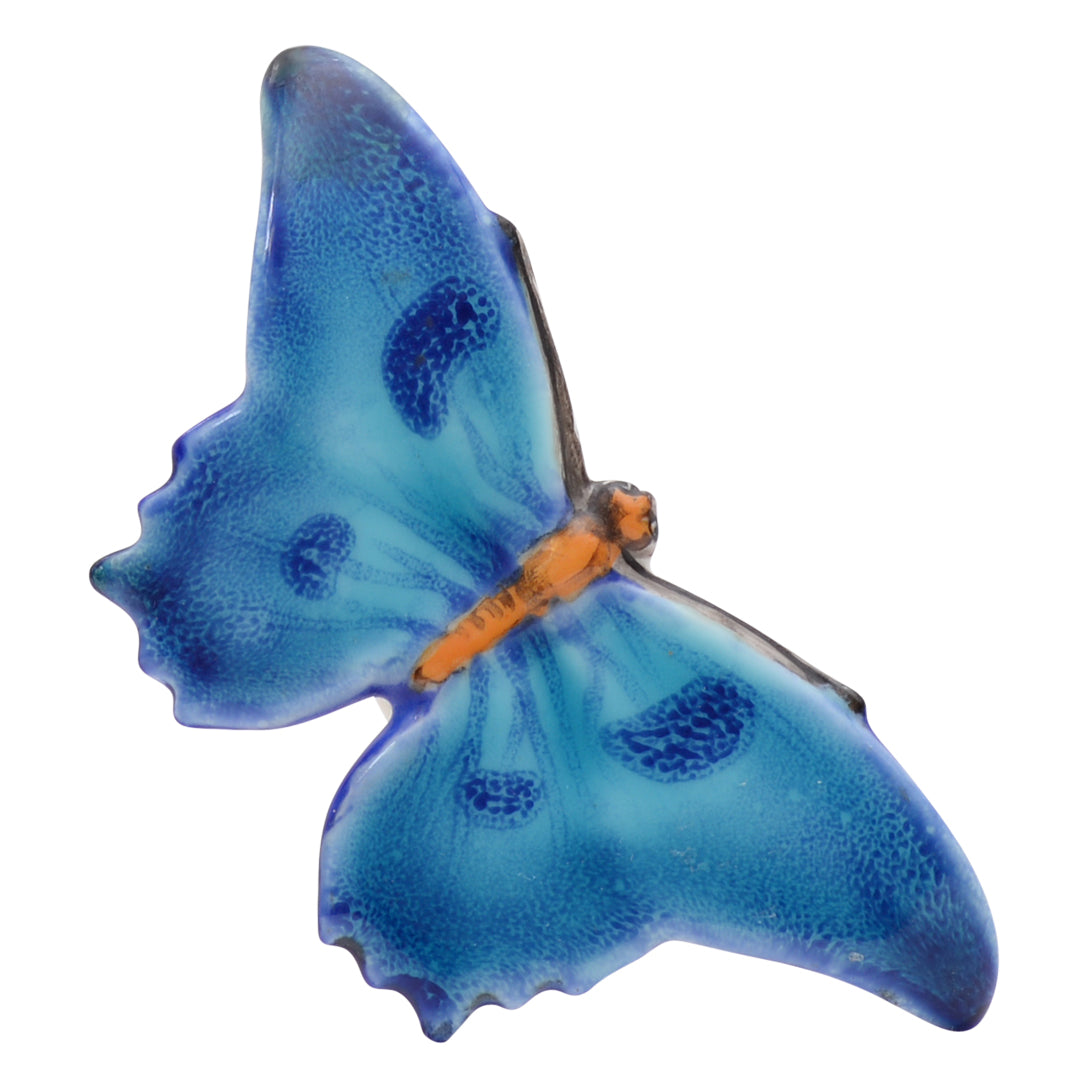 Blue butterfly