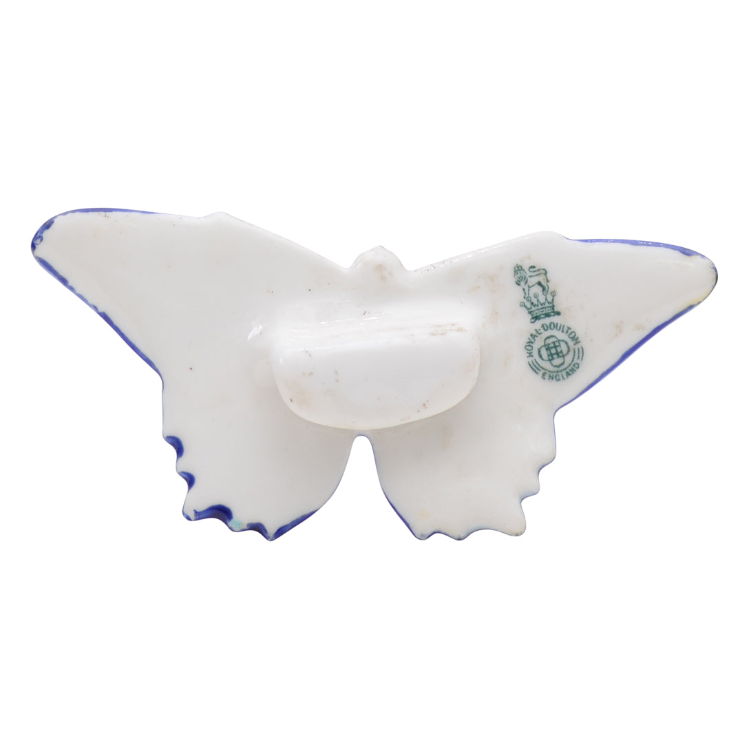 Blue butterfly