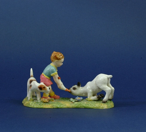 Derby Sheep Dog