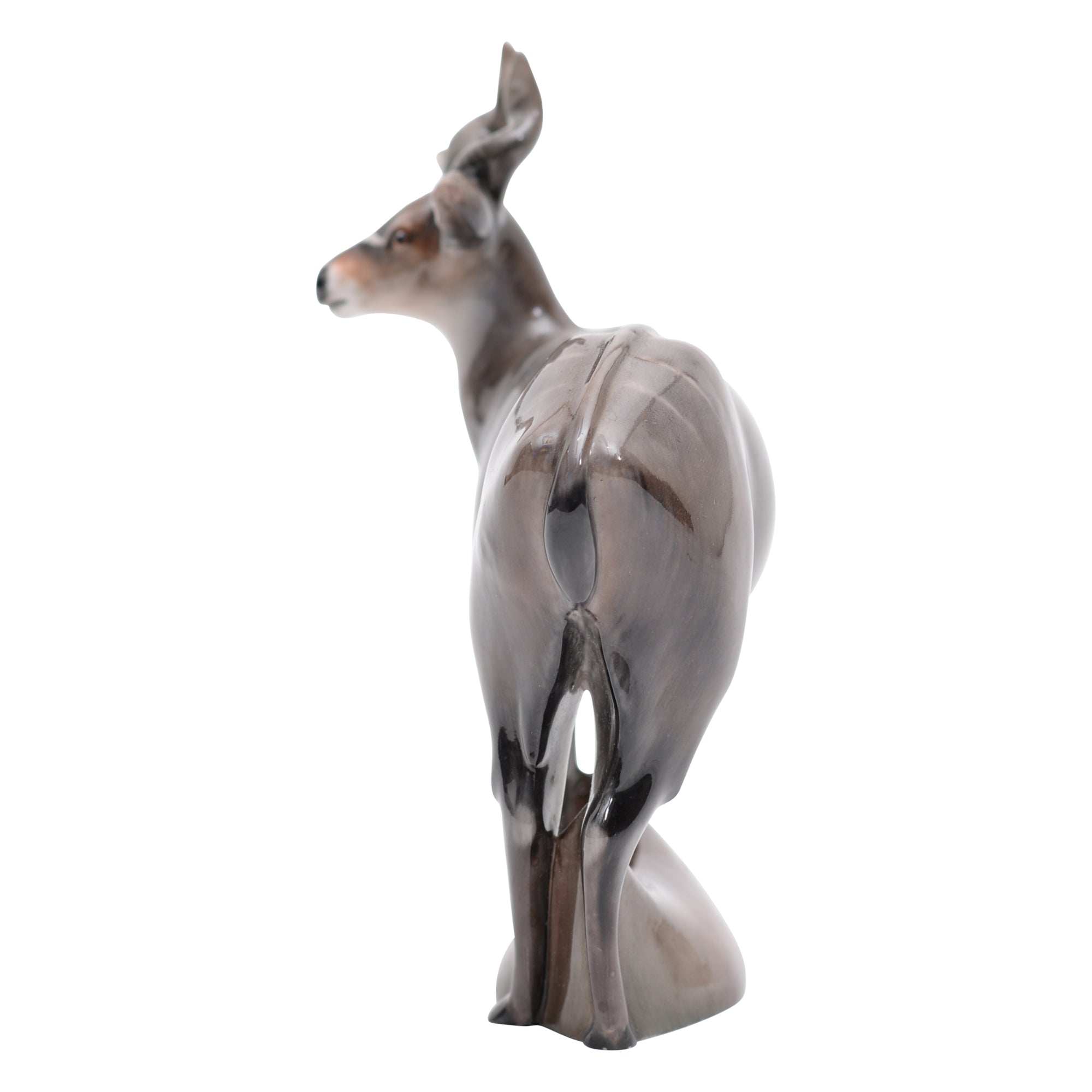 Nyala Antelope