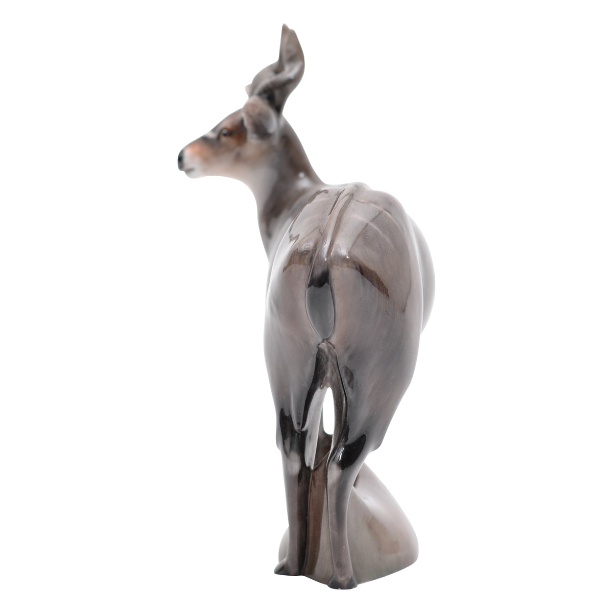 Nyala Antelope