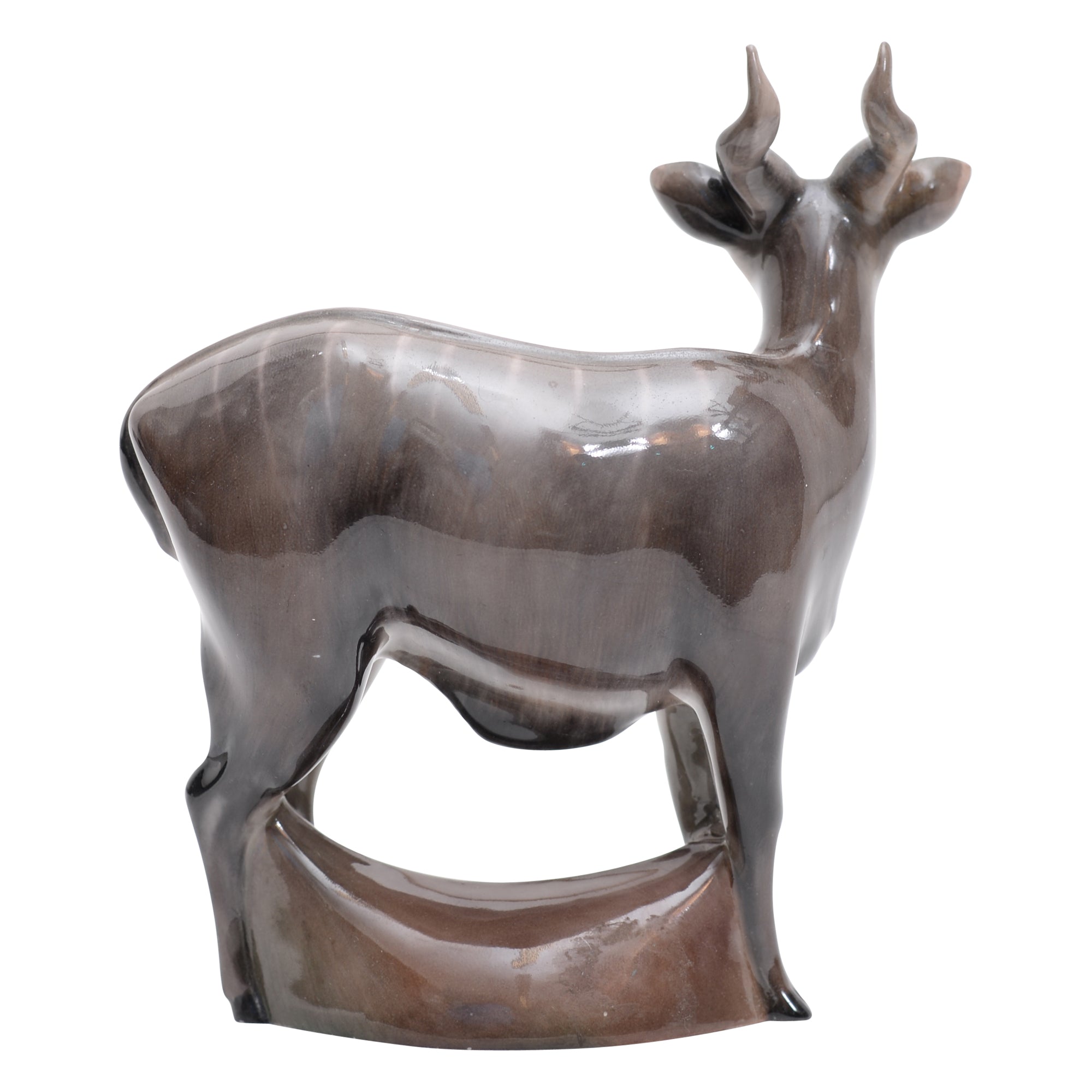 Nyala Antelope