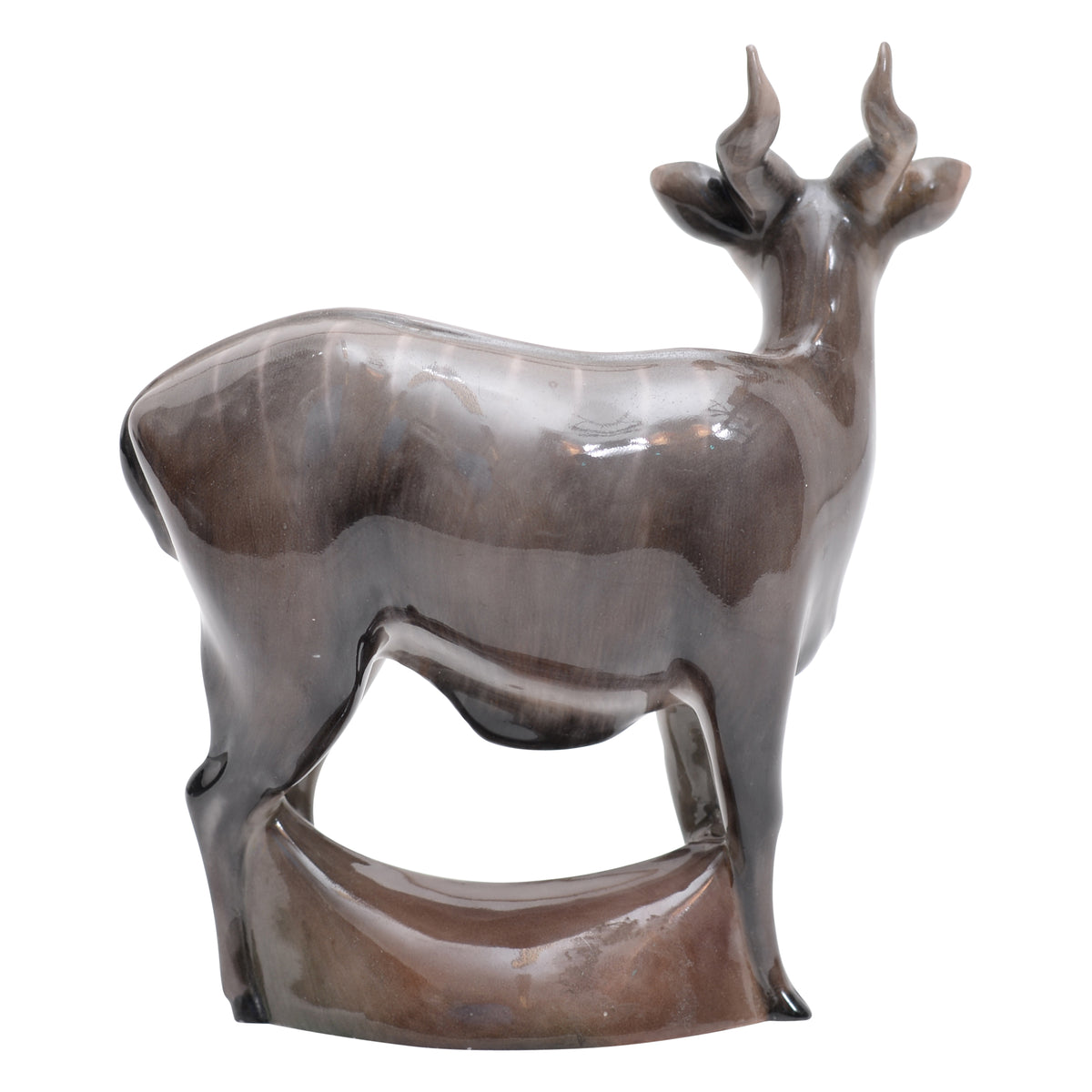 Nyala Antelope