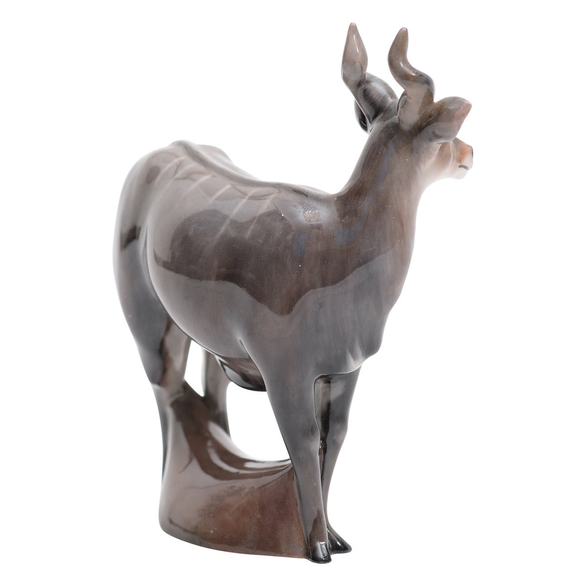 Nyala Antelope