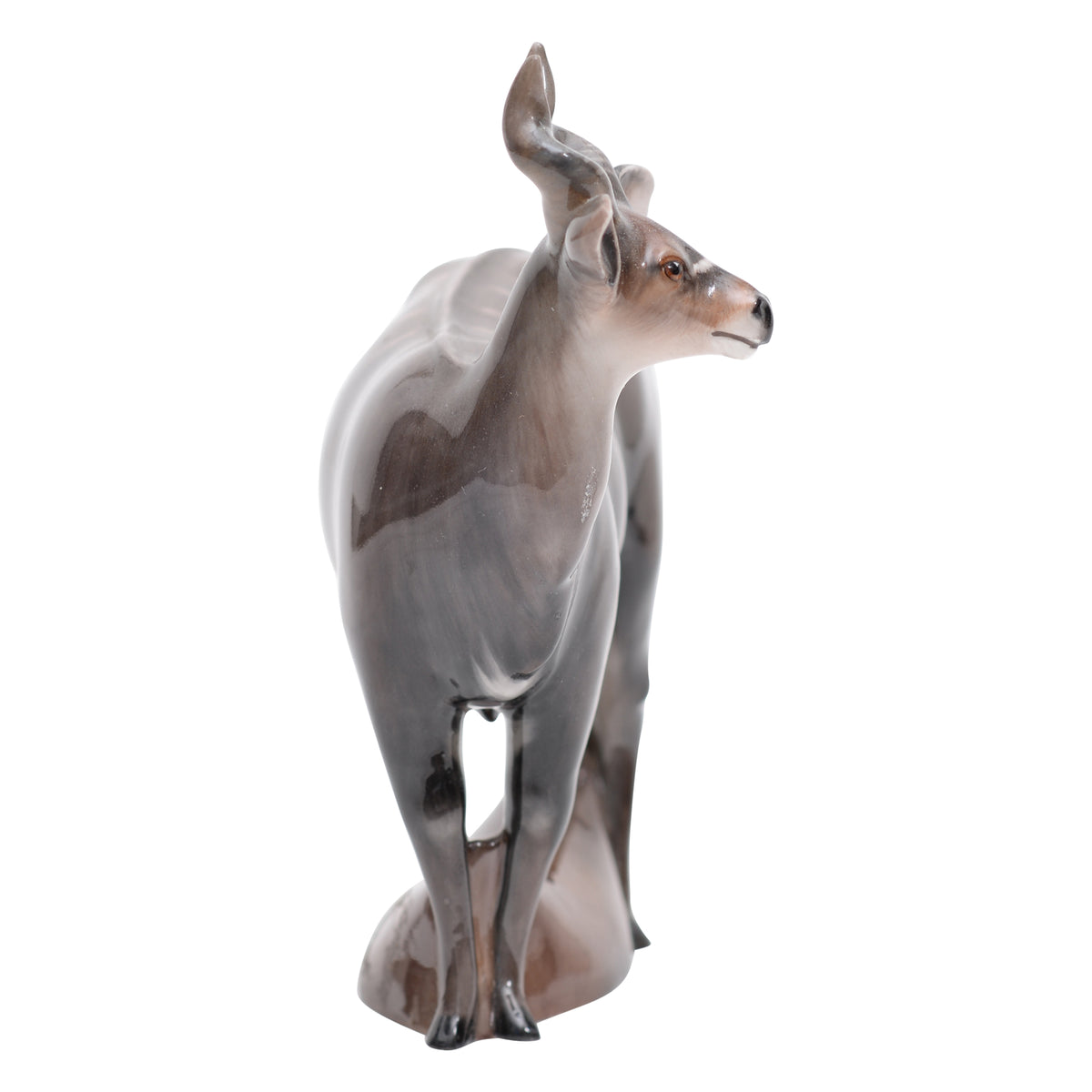 Nyala Antelope