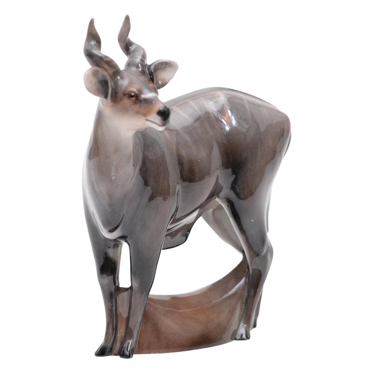 Nyala Antelope