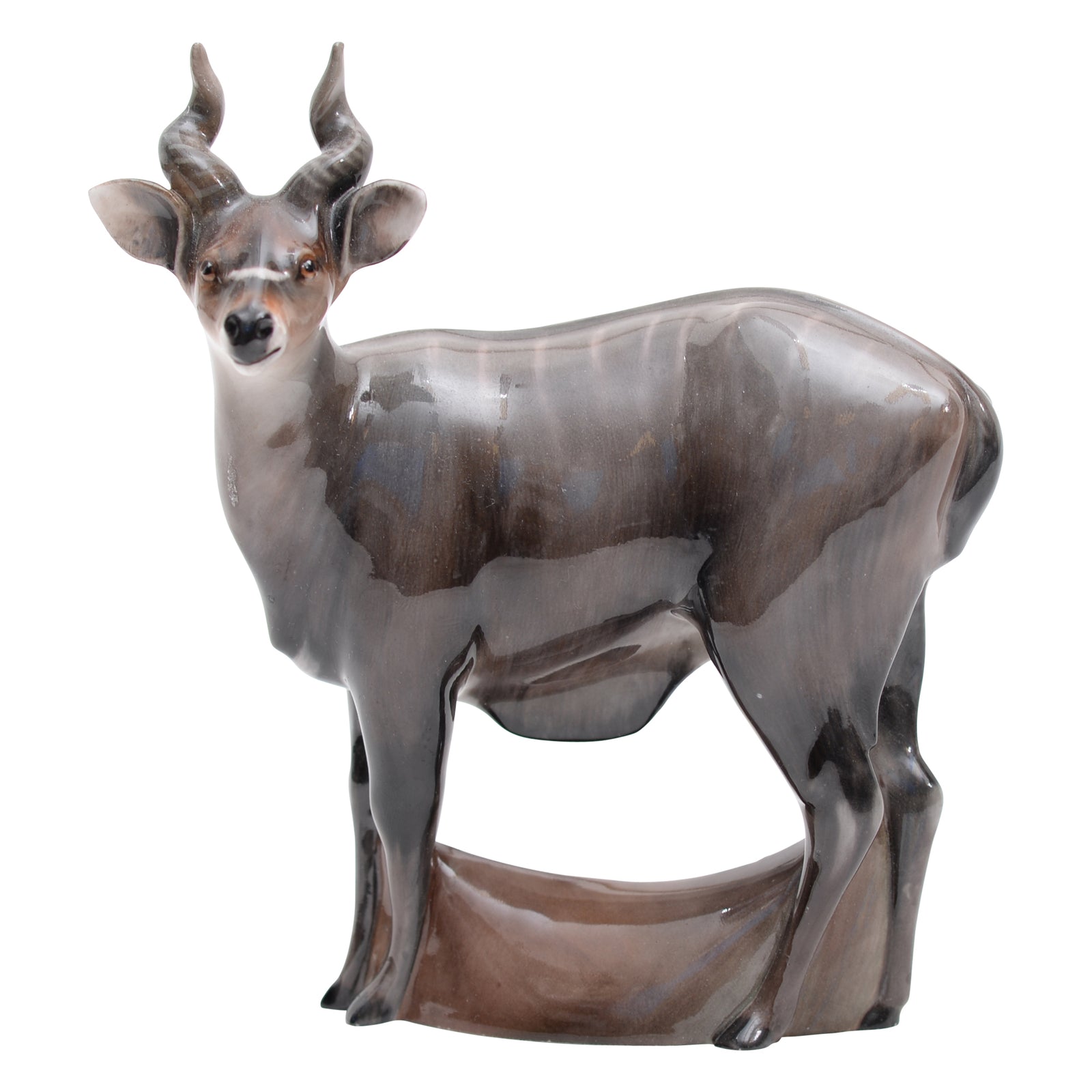 Nyala Antelope